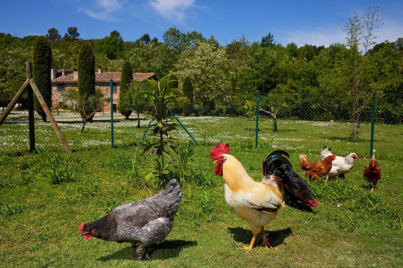 El Celler - Can Bonet San Martí Vell Buitenkant foto